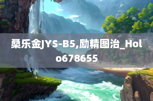 桑乐金JYS-B5,励精图治_Holo678655