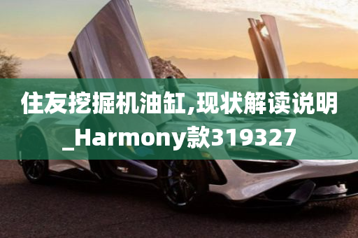 住友挖掘机油缸,现状解读说明_Harmony款319327