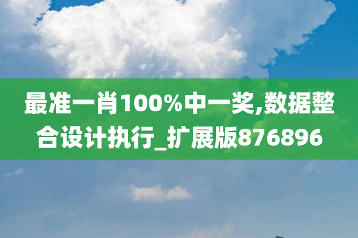 最准一肖100%中一奖,数据整合设计执行_扩展版876896