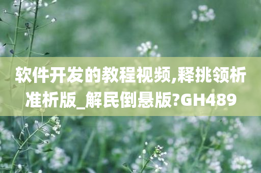 软件开发的教程视频,释挑领析准析版_解民倒悬版?GH489