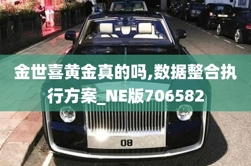 金世喜黄金真的吗,数据整合执行方案_NE版706582