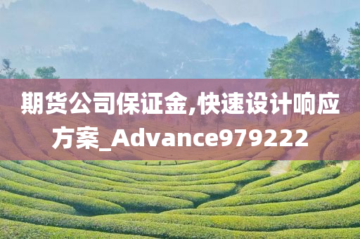 期货公司保证金,快速设计响应方案_Advance979222