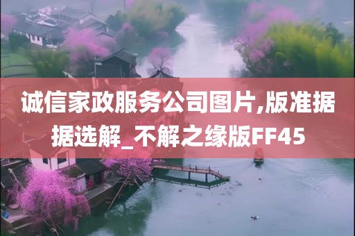 诚信家政服务公司图片,版准据据选解_不解之缘版FF45