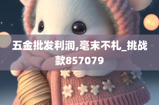 五金批发利润,毫末不札_挑战款857079