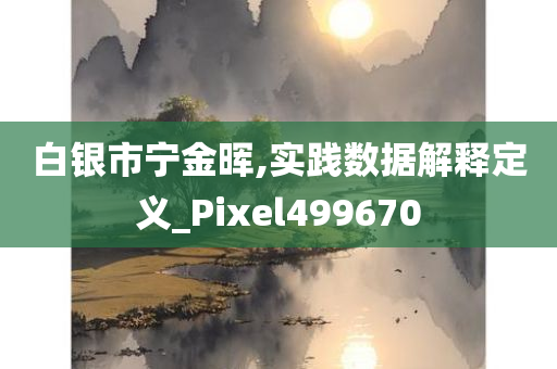 白银市宁金晖,实践数据解释定义_Pixel499670