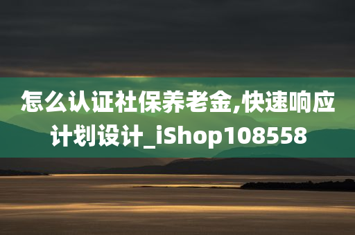 怎么认证社保养老金,快速响应计划设计_iShop108558