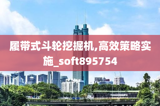 履带式斗轮挖掘机,高效策略实施_soft895754