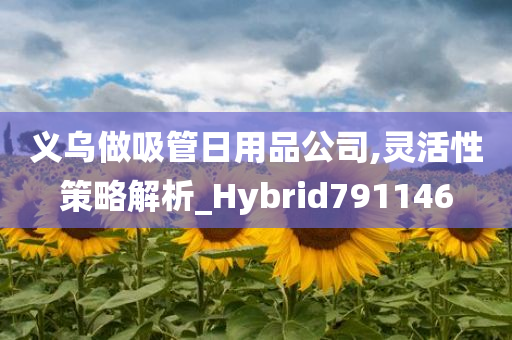 义乌做吸管日用品公司,灵活性策略解析_Hybrid791146