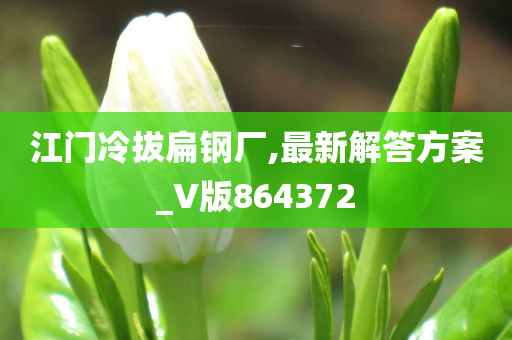 江门冷拔扁钢厂,最新解答方案_V版864372