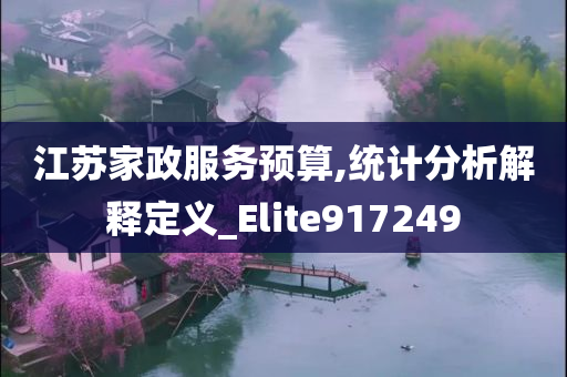 江苏家政服务预算,统计分析解释定义_Elite917249