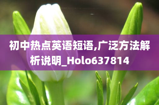 初中热点英语短语,广泛方法解析说明_Holo637814