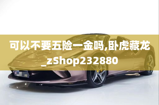 可以不要五险一金吗,卧虎藏龙_zShop232880