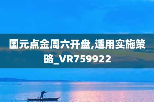 国元点金周六开盘,适用实施策略_VR759922