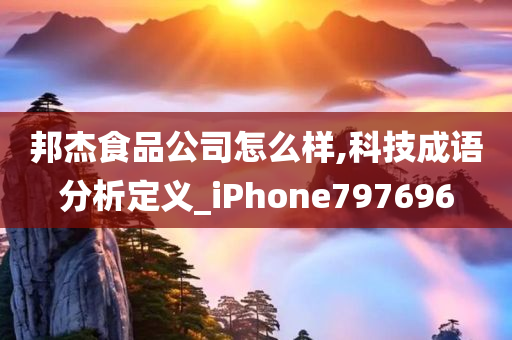 邦杰食品公司怎么样,科技成语分析定义_iPhone797696