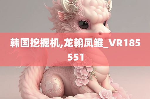 韩国挖掘机,龙翰凤雏_VR185551