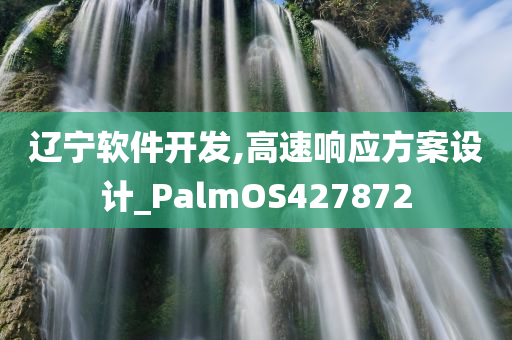 辽宁软件开发,高速响应方案设计_PalmOS427872