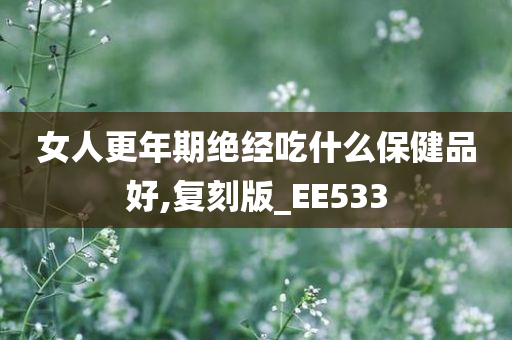 女人更年期绝经吃什么保健品好,复刻版_EE533