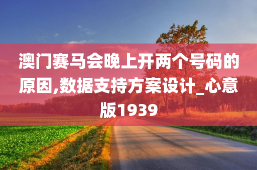 澳门赛马会晚上开两个号码的原因,数据支持方案设计_心意版1939