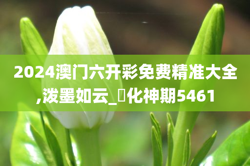 2024澳门六开彩免费精准大全,泼墨如云_‌化神期5461