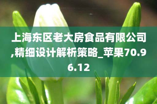 上海东区老大房食品有限公司,精细设计解析策略_苹果70.96.12