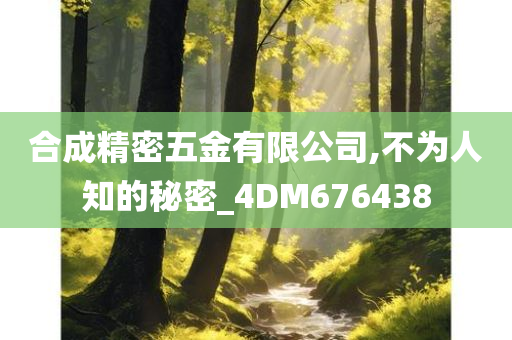 合成精密五金有限公司,不为人知的秘密_4DM676438