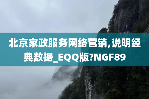 北京家政服务网络营销,说明经典数据_EQQ版?NGF89