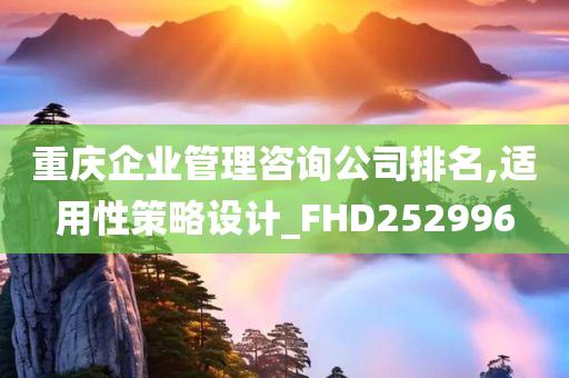 重庆企业管理咨询公司排名,适用性策略设计_FHD252996