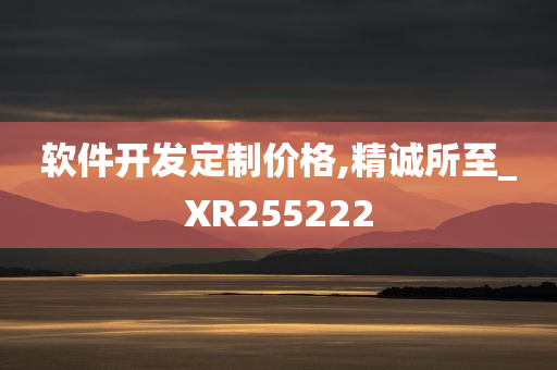 软件开发定制价格,精诚所至_XR255222