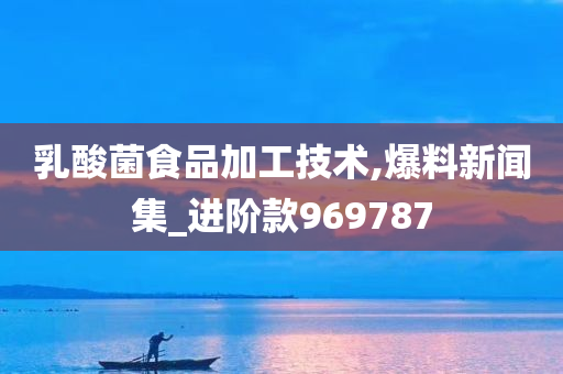 乳酸菌食品加工技术,爆料新闻集_进阶款969787