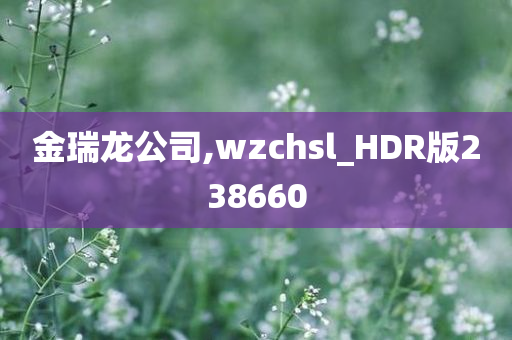 金瑞龙公司,wzchsl_HDR版238660