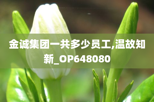 金诚集团一共多少员工,温故知新_OP648080