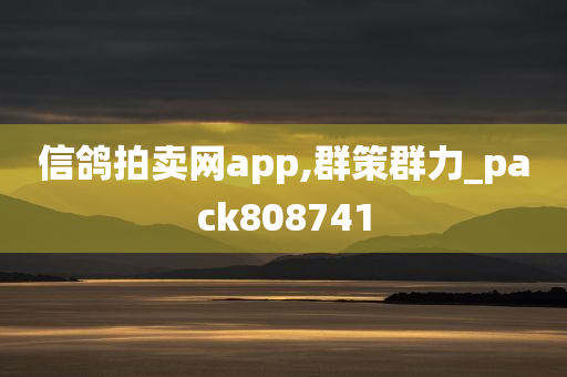 信鸽拍卖网app,群策群力_pack808741