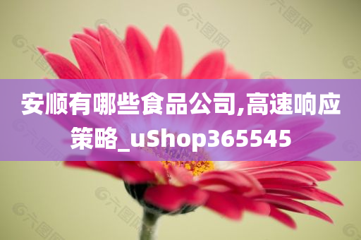 安顺有哪些食品公司,高速响应策略_uShop365545