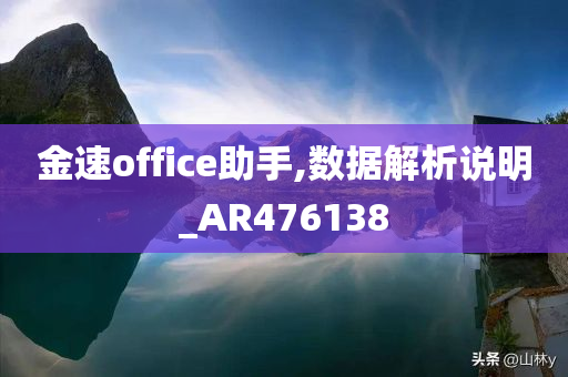 金速office助手,数据解析说明_AR476138