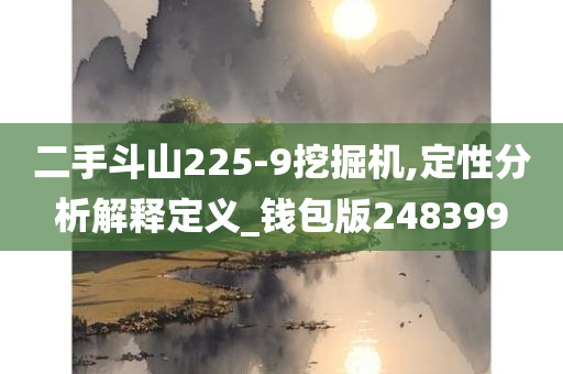 二手斗山225-9挖掘机,定性分析解释定义_钱包版248399