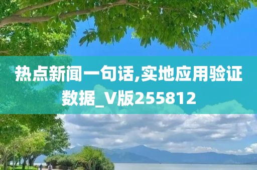 热点新闻一句话,实地应用验证数据_V版255812