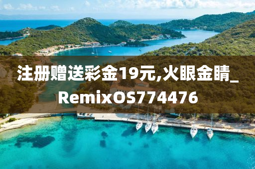 注册赠送彩金19元,火眼金睛_RemixOS774476