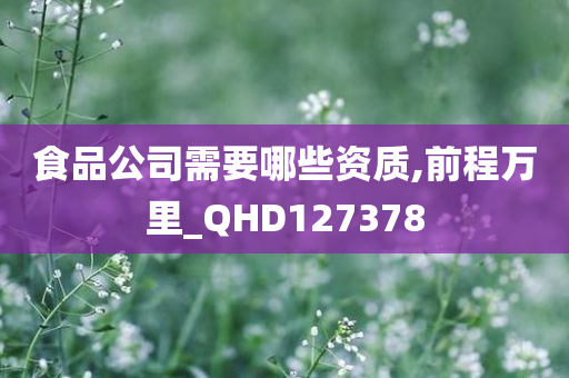 食品公司需要哪些资质,前程万里_QHD127378