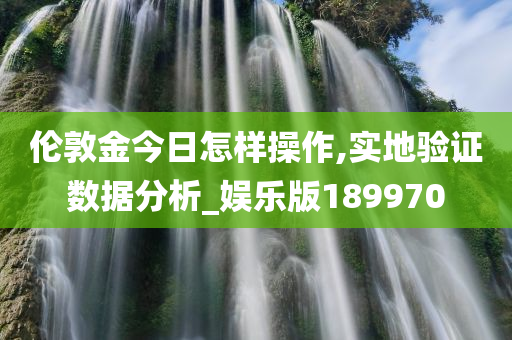 伦敦金今日怎样操作,实地验证数据分析_娱乐版189970