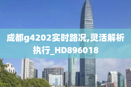 成都g4202实时路况,灵活解析执行_HD896018