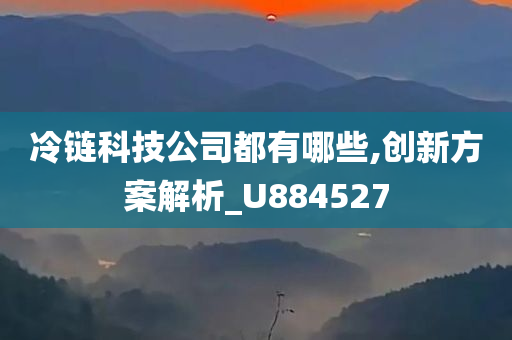 冷链科技公司都有哪些,创新方案解析_U884527