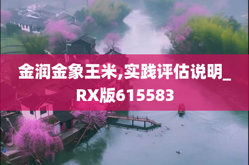 金润金象王米,实践评估说明_RX版615583