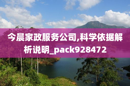 今晨家政服务公司,科学依据解析说明_pack928472