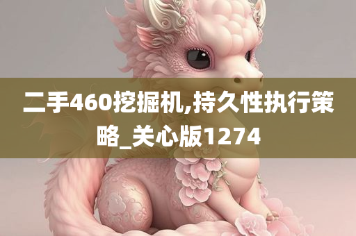 二手460挖掘机,持久性执行策略_关心版1274