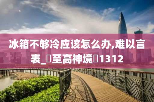 冰箱不够冷应该怎么办,难以言表_‌至高神境‌1312