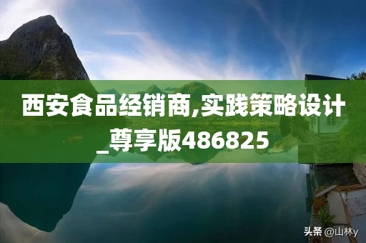 西安食品经销商,实践策略设计_尊享版486825