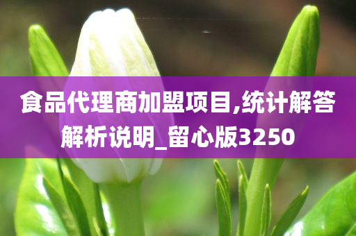 食品代理商加盟项目,统计解答解析说明_留心版3250