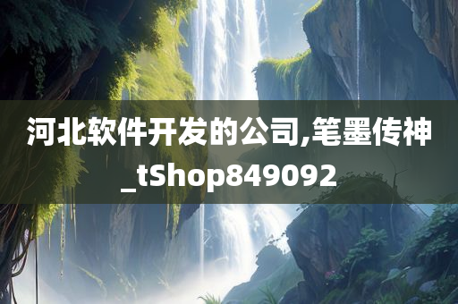 河北软件开发的公司,笔墨传神_tShop849092