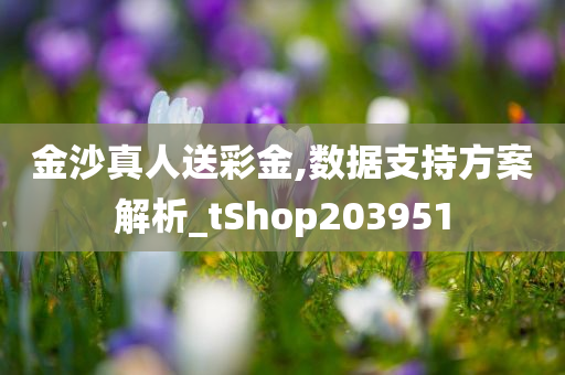 金沙真人送彩金,数据支持方案解析_tShop203951