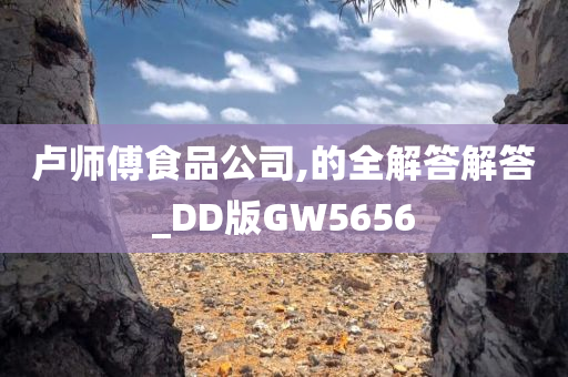 卢师傅食品公司,的全解答解答_DD版GW5656